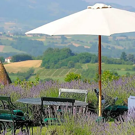 Chateau De Bagnols Moire