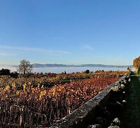 Chateau De Bagnols Отель Moire